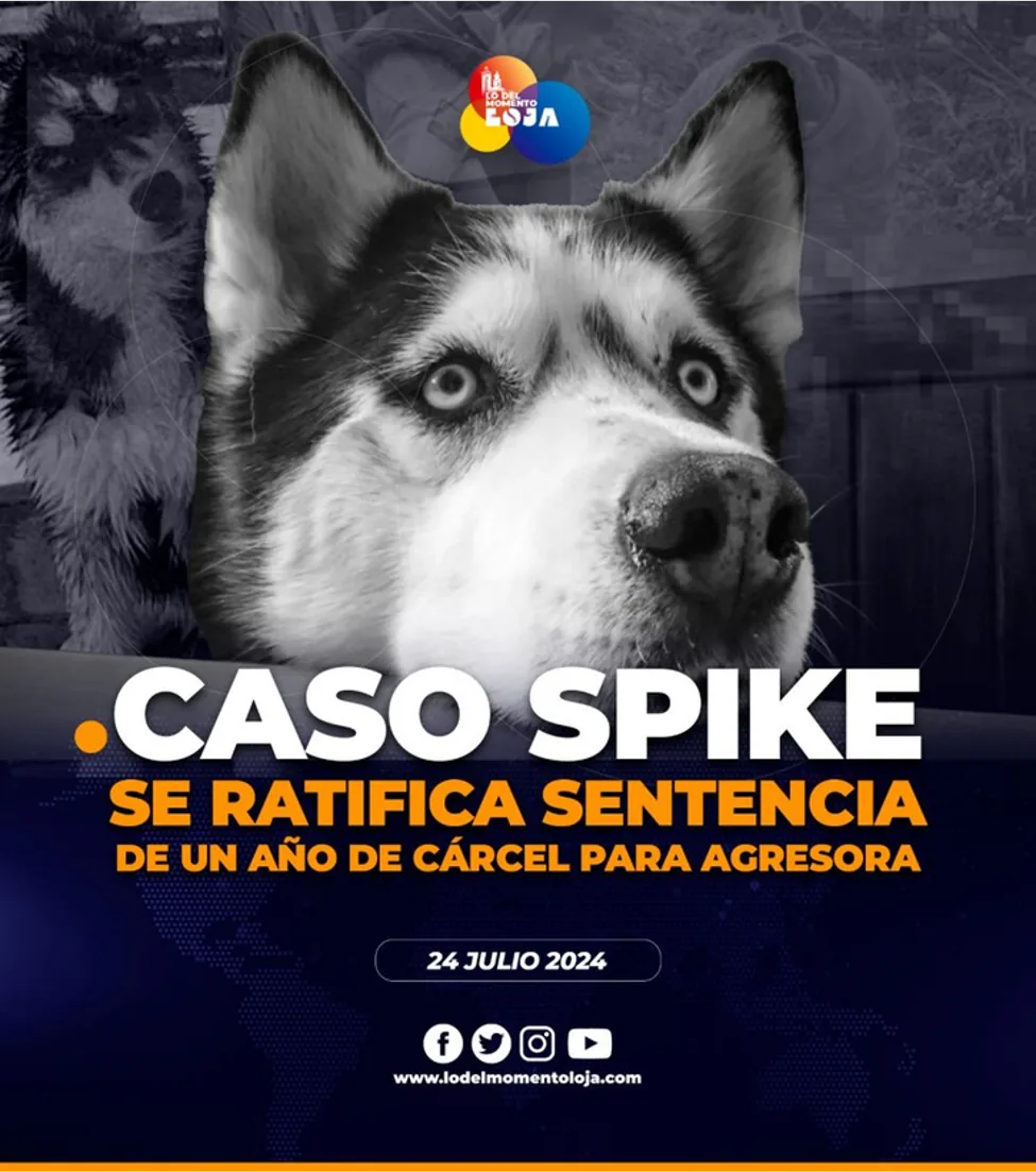 Spike Case