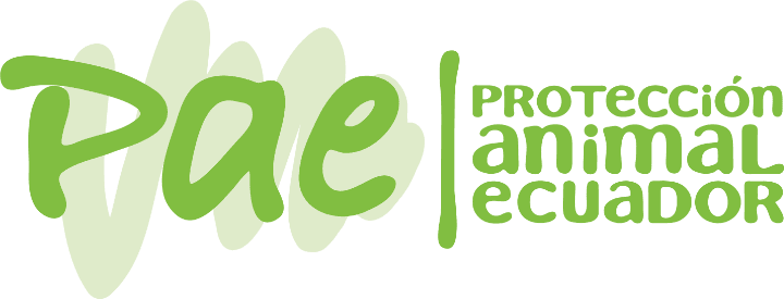 Protección Animal Ecuador